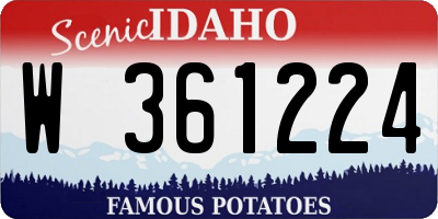 ID license plate W361224