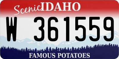 ID license plate W361559