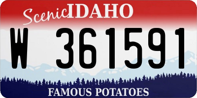 ID license plate W361591