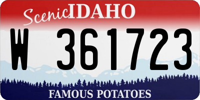 ID license plate W361723