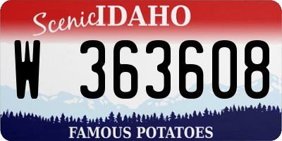 ID license plate W363608