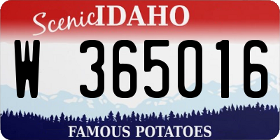 ID license plate W365016