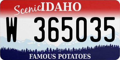 ID license plate W365035