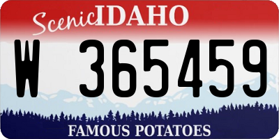 ID license plate W365459