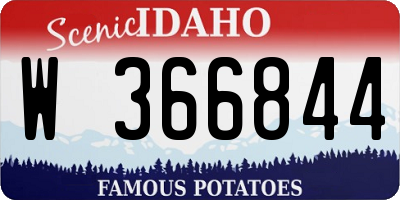 ID license plate W366844