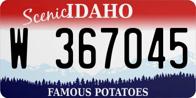 ID license plate W367045