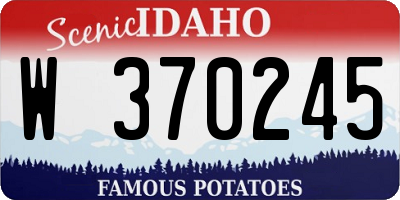 ID license plate W370245