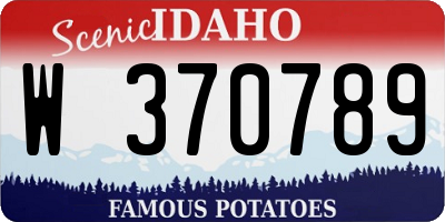 ID license plate W370789