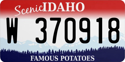 ID license plate W370918