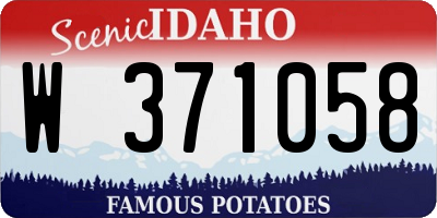 ID license plate W371058