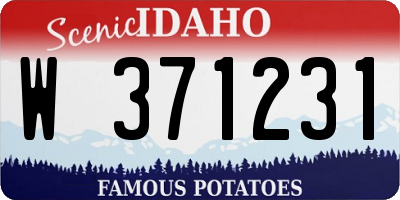 ID license plate W371231
