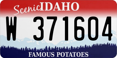 ID license plate W371604