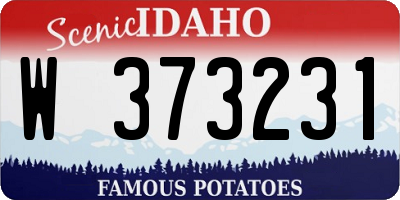 ID license plate W373231