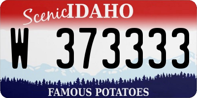 ID license plate W373333