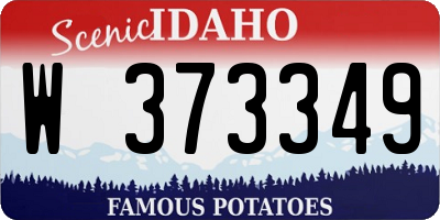 ID license plate W373349