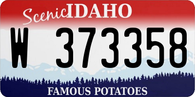 ID license plate W373358