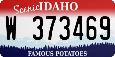 ID license plate W373469