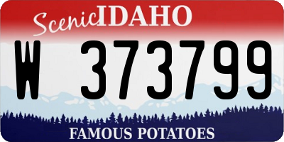ID license plate W373799