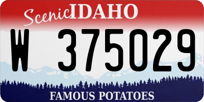 ID license plate W375029
