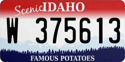 ID license plate W375613