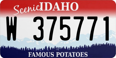 ID license plate W375771
