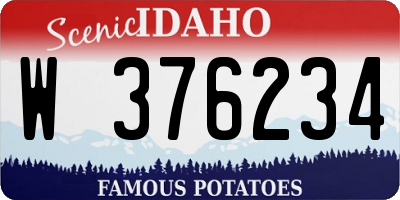 ID license plate W376234