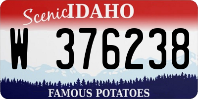 ID license plate W376238
