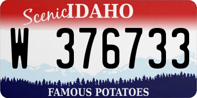 ID license plate W376733