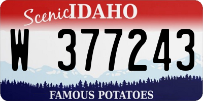 ID license plate W377243