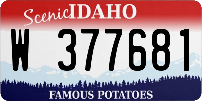 ID license plate W377681