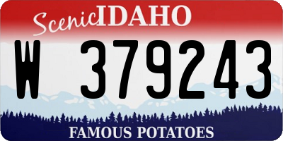 ID license plate W379243