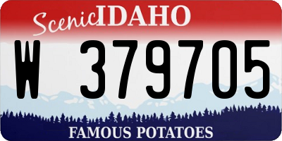 ID license plate W379705