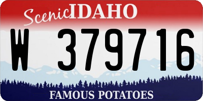 ID license plate W379716
