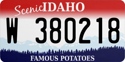 ID license plate W380218