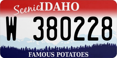 ID license plate W380228