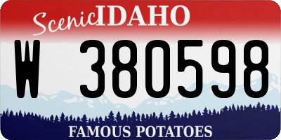 ID license plate W380598