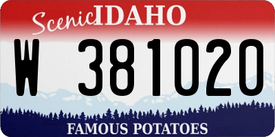 ID license plate W381020