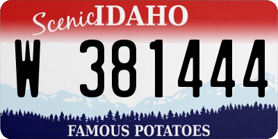 ID license plate W381444