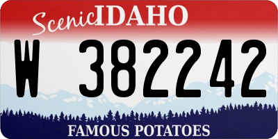 ID license plate W382242
