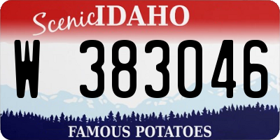 ID license plate W383046