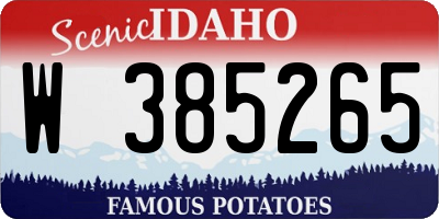 ID license plate W385265