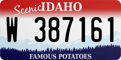 ID license plate W387161