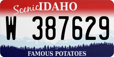 ID license plate W387629
