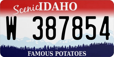 ID license plate W387854