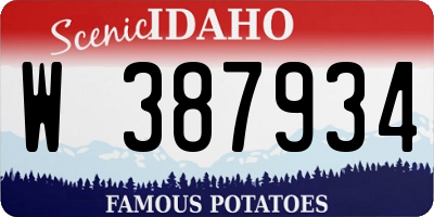 ID license plate W387934