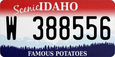 ID license plate W388556
