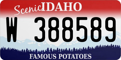 ID license plate W388589