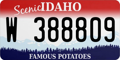 ID license plate W388809