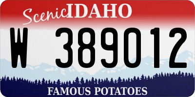 ID license plate W389012
