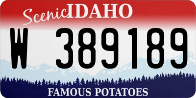 ID license plate W389189